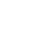 Citroen Logo
